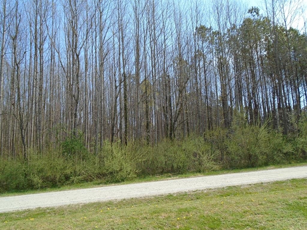 Large Wooded Lot For Sale