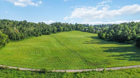 LAND - Monticello, KY