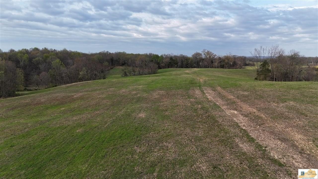 44.8 Acres in Hart County