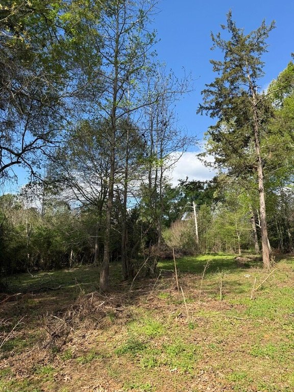 Picture 4
