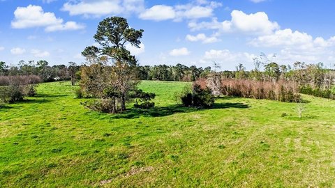 Nacogdoches Land with Mature Trees