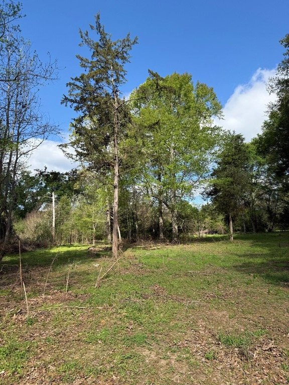 Picture 6