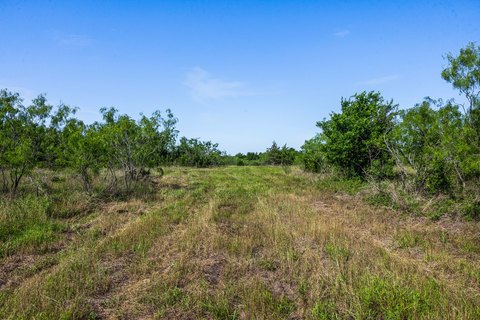 Perimeter-Fenced Pastureland