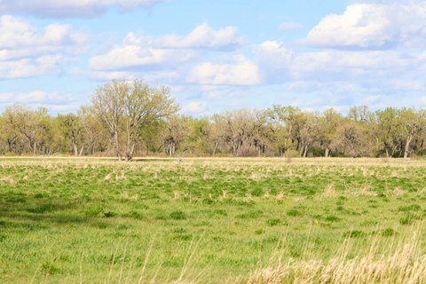 Montana Ranch with Milk River Frontage