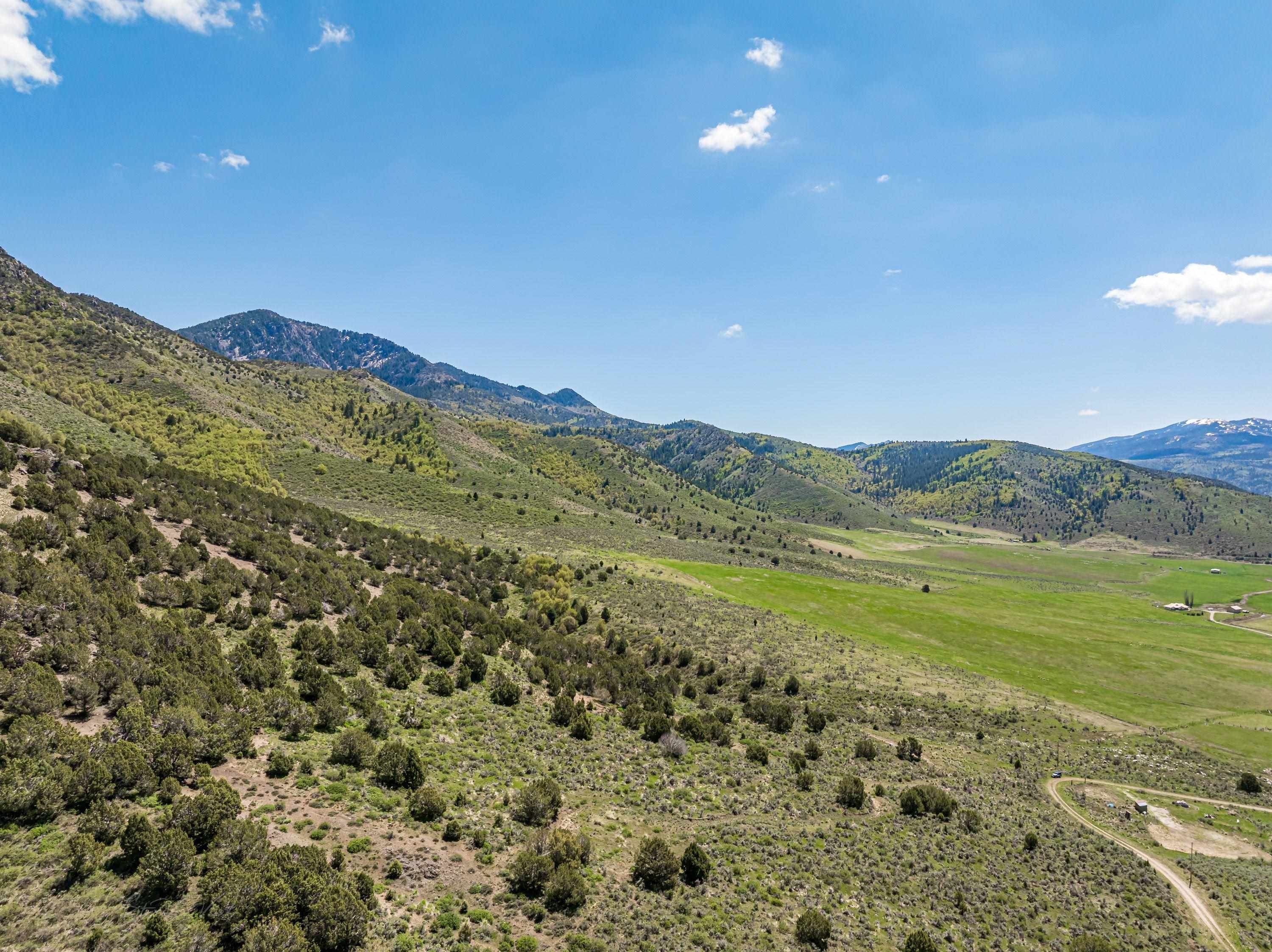 5-Acre Lot Near Lava