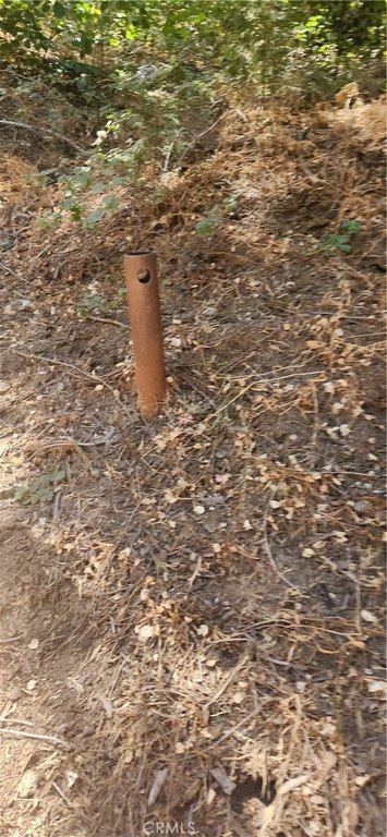 Picture 8