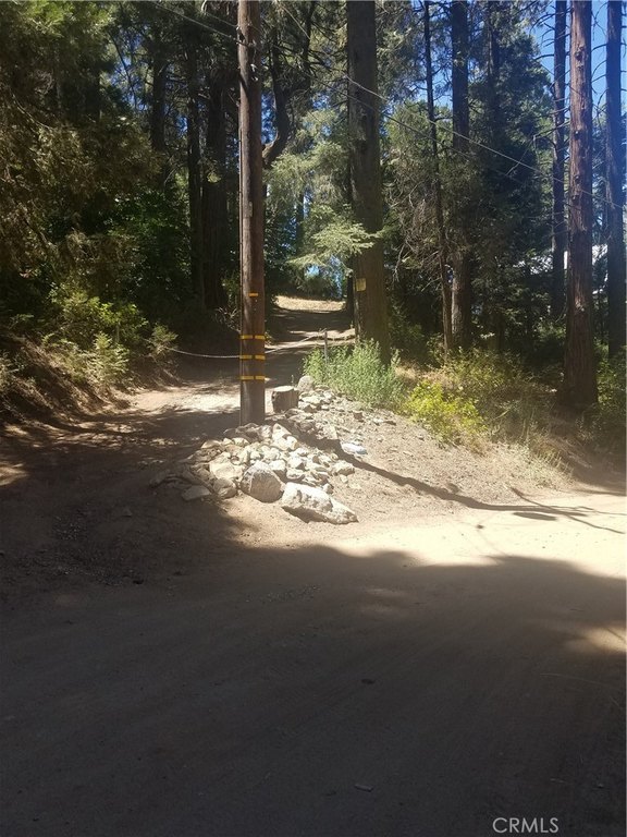 Picture 14
