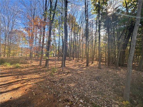 Land, Maryland, NY