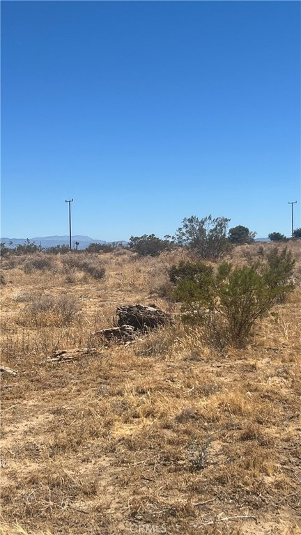 Picture 5