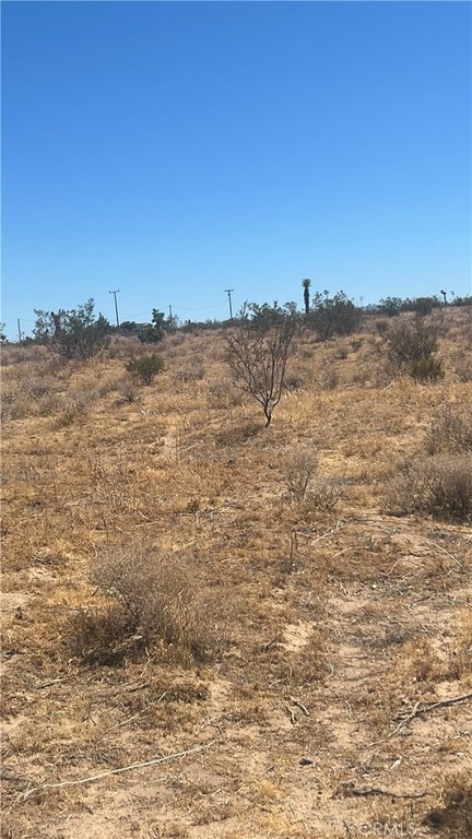 Picture 3
