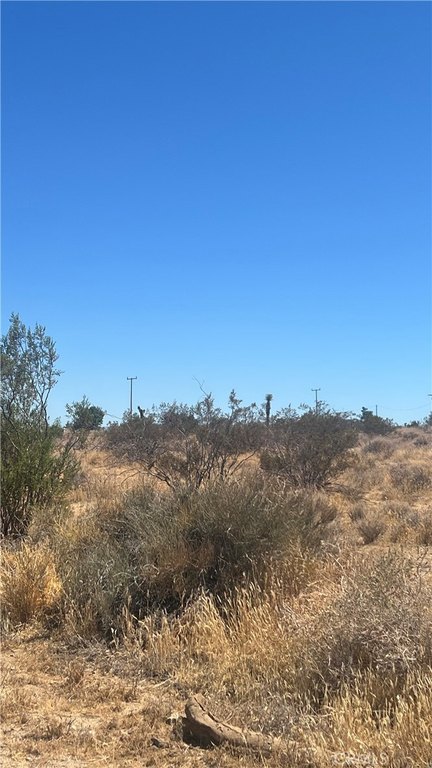 Picture 6