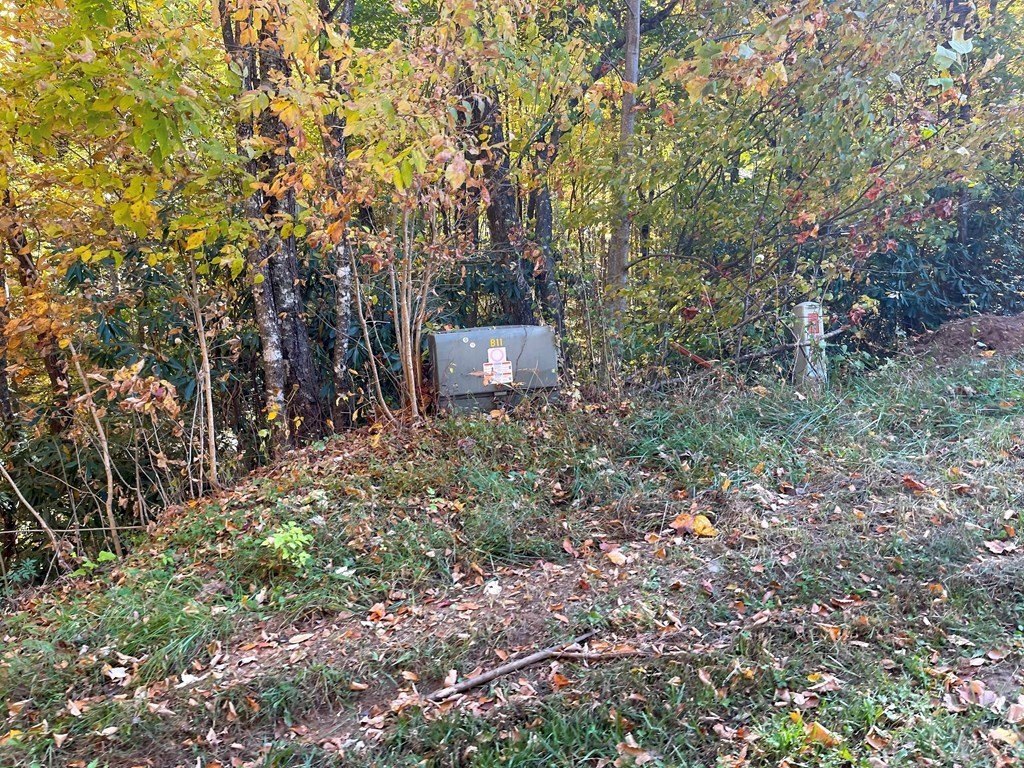 Picture 34