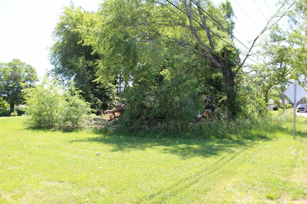 Picture 18