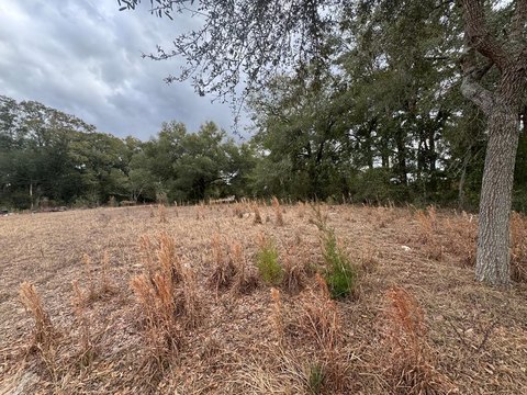 Homesite in Oak Walk Subdivision
