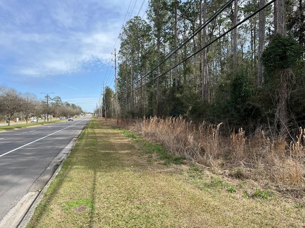 Highway Frontage Land in Picayune