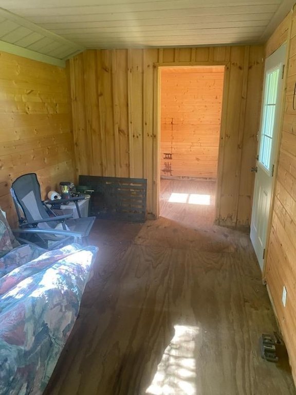 Picture 5