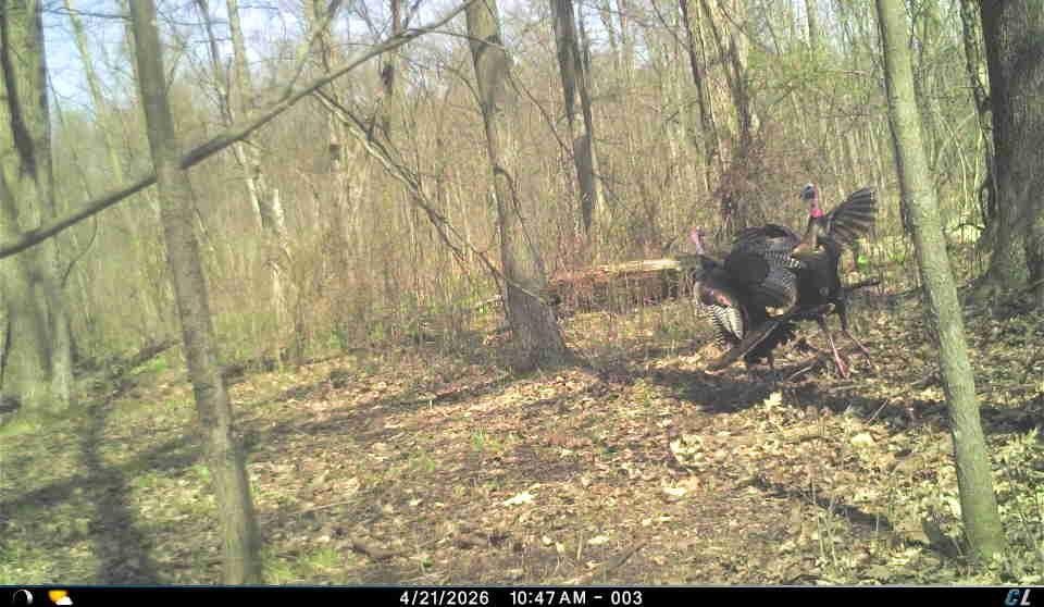 Picture 13