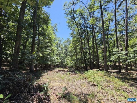 Waterfront Land Parcel