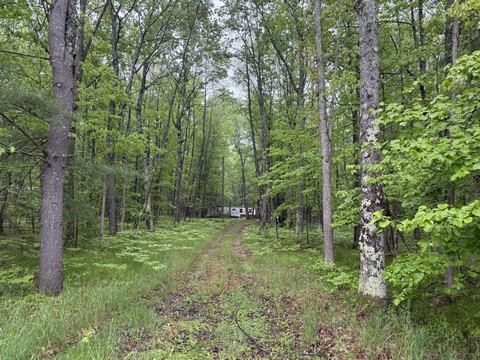 Wooded Acreage in Irons, Michigan