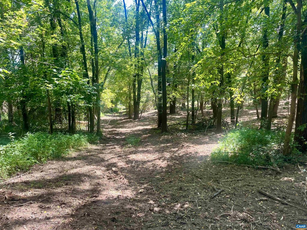 Picture 27
