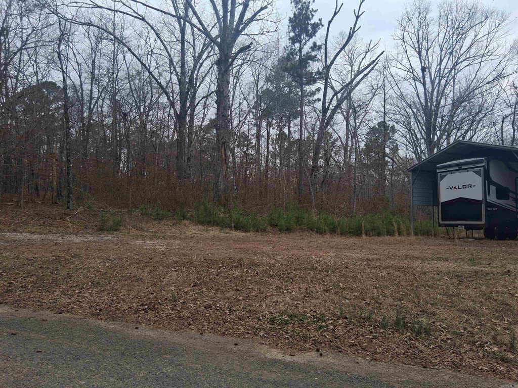 Picture 10