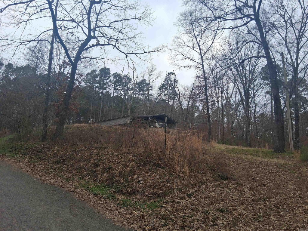 Picture 8