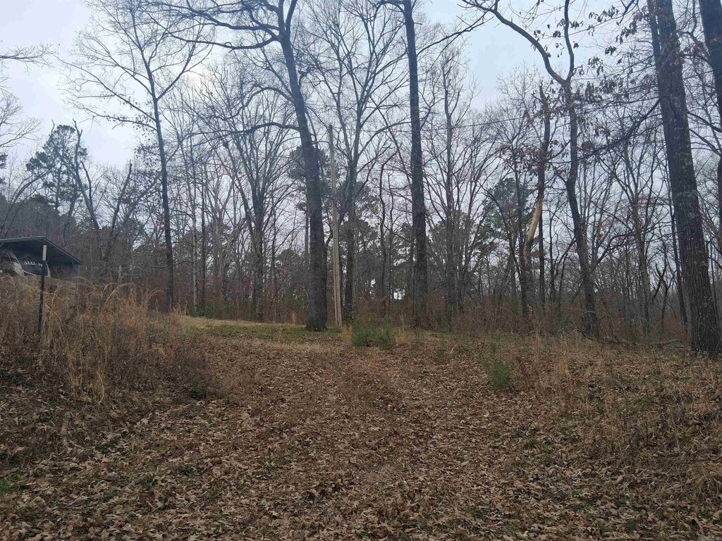 Picture 11