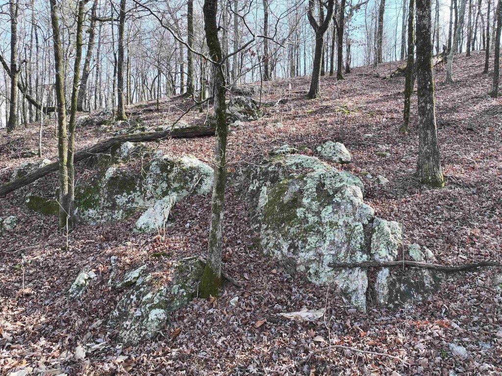 Picture 5