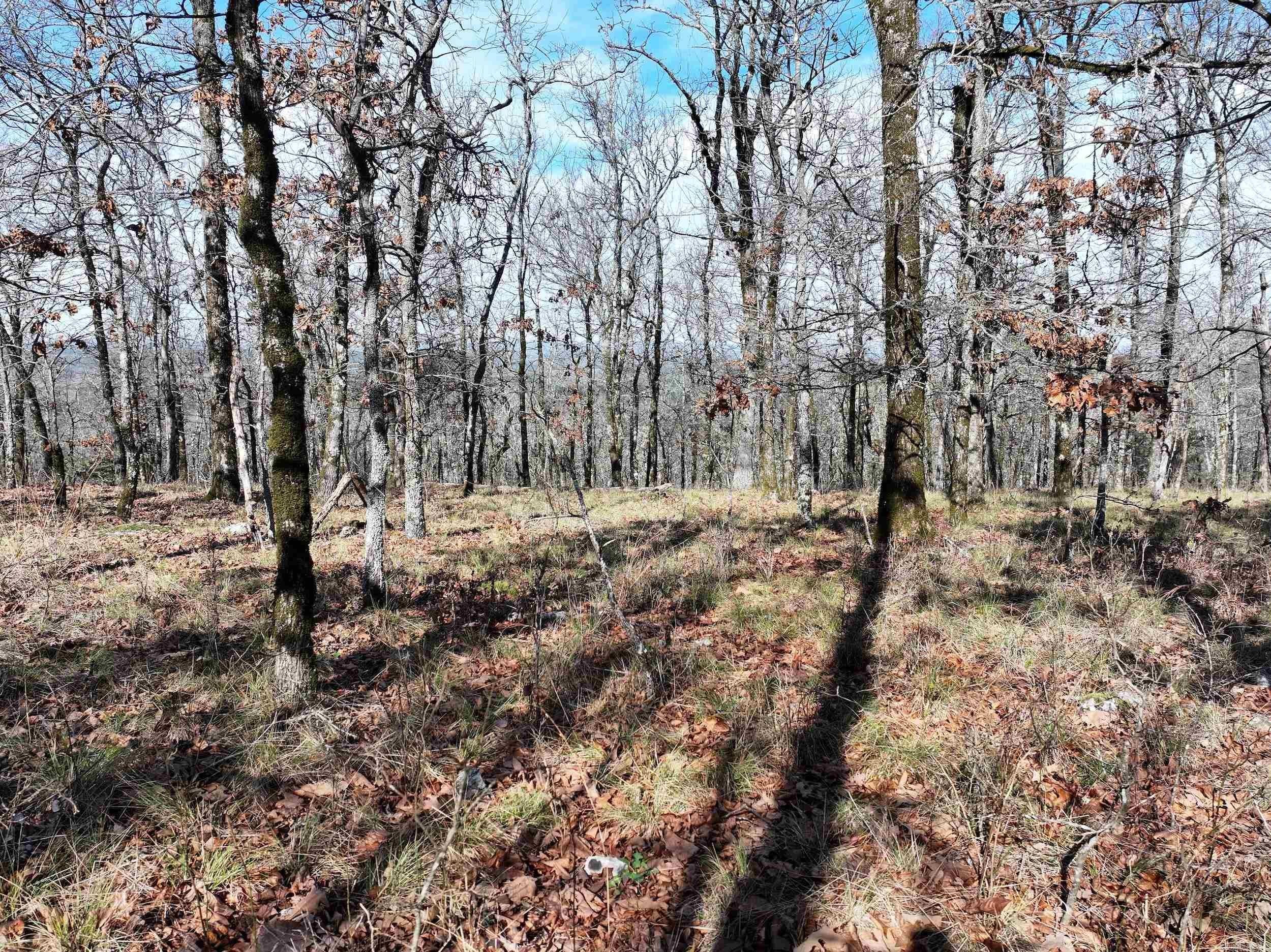 Undeveloped Land with Scenic Views