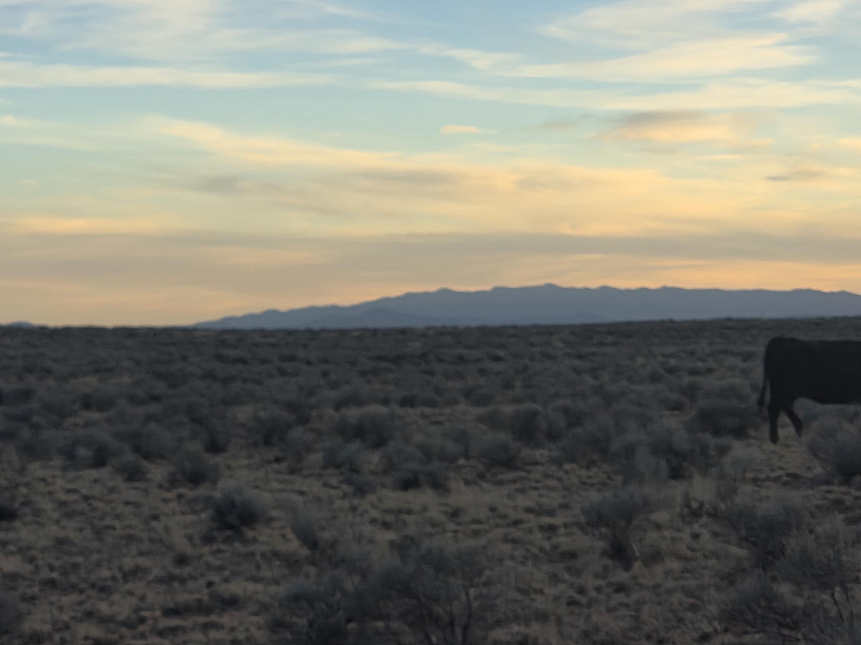 Land with Mountain Views
