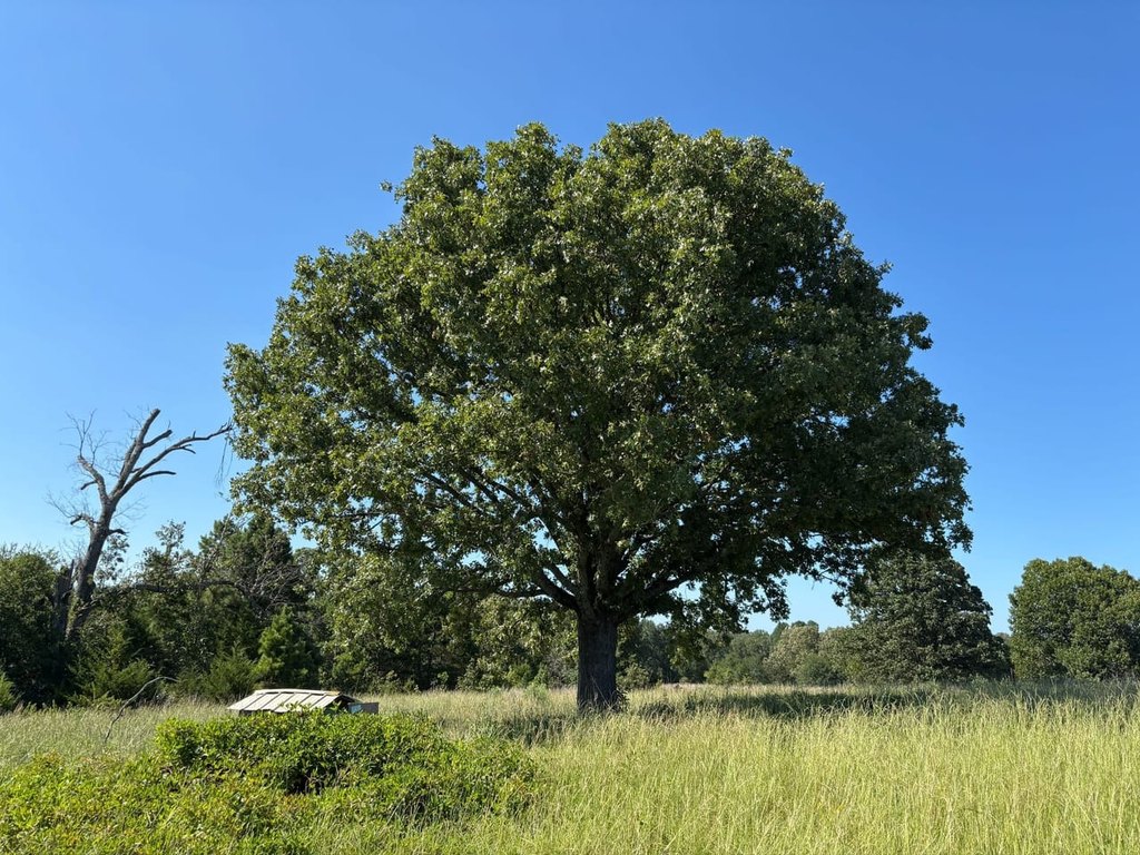 Picture 43