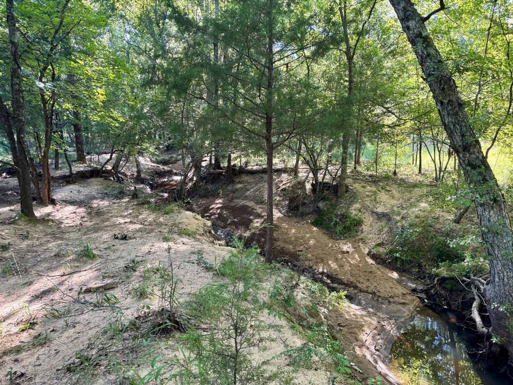 Picture 30