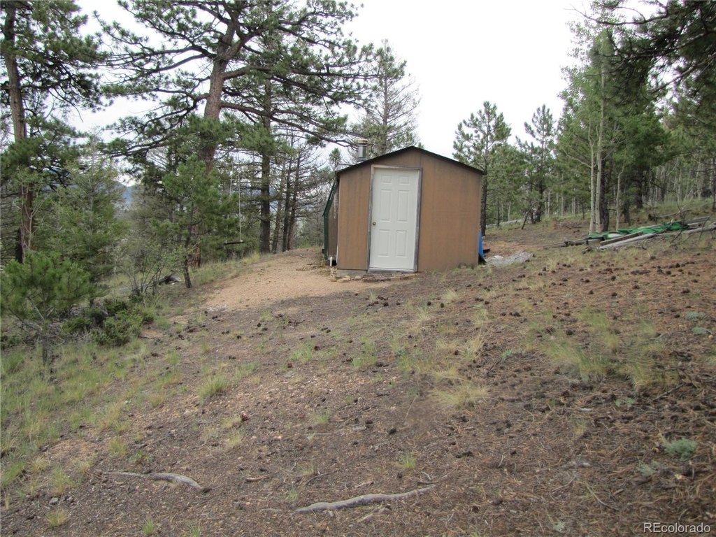Picture 11