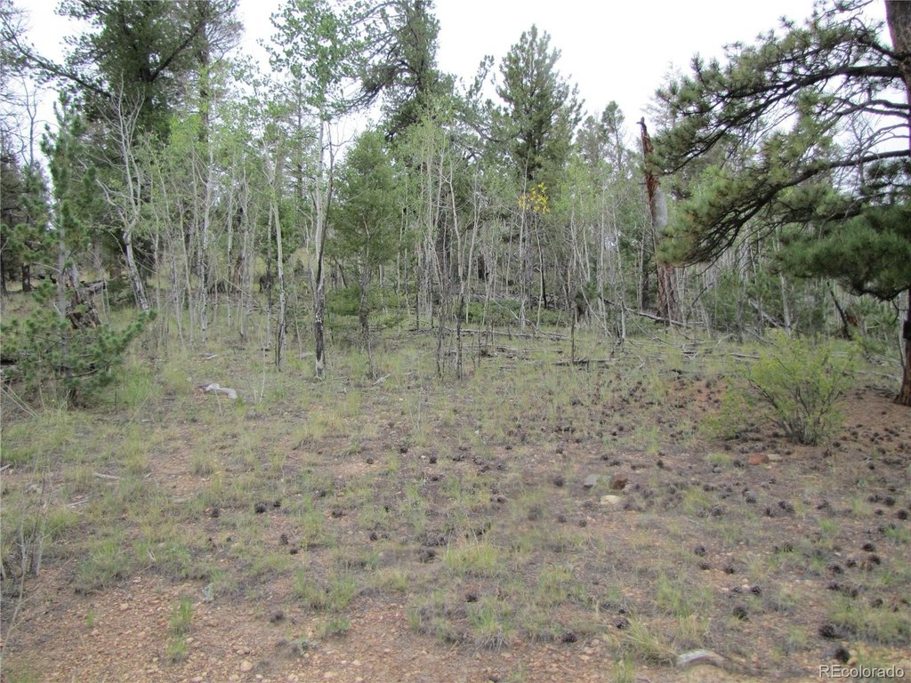 Picture 28