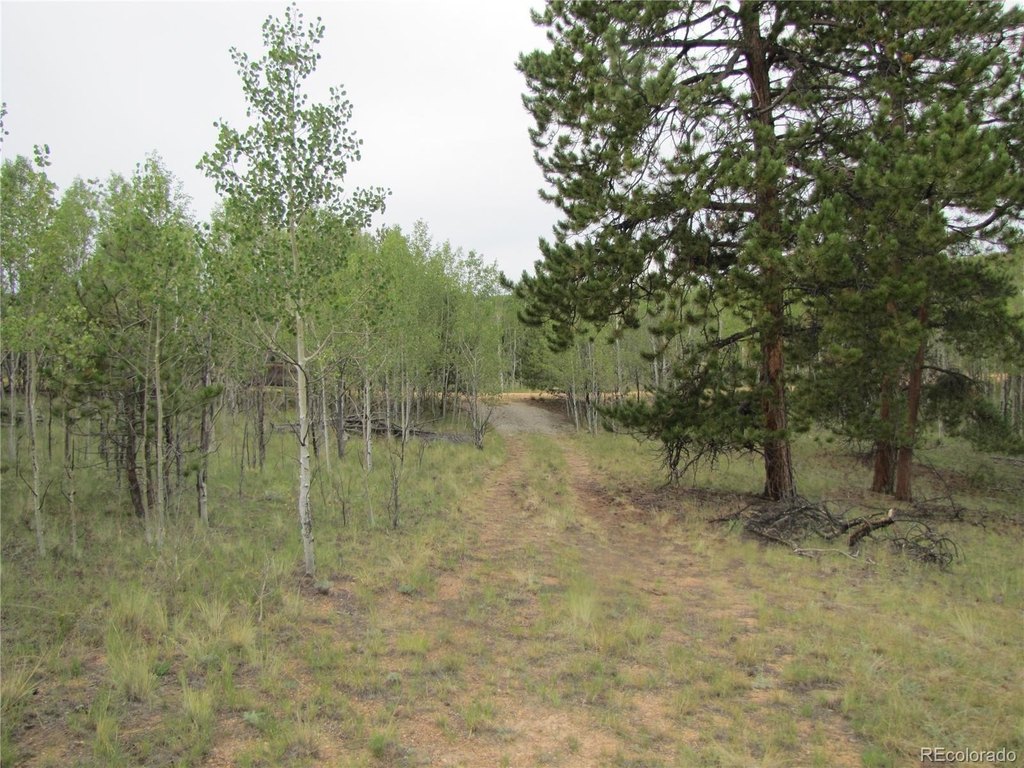Picture 25