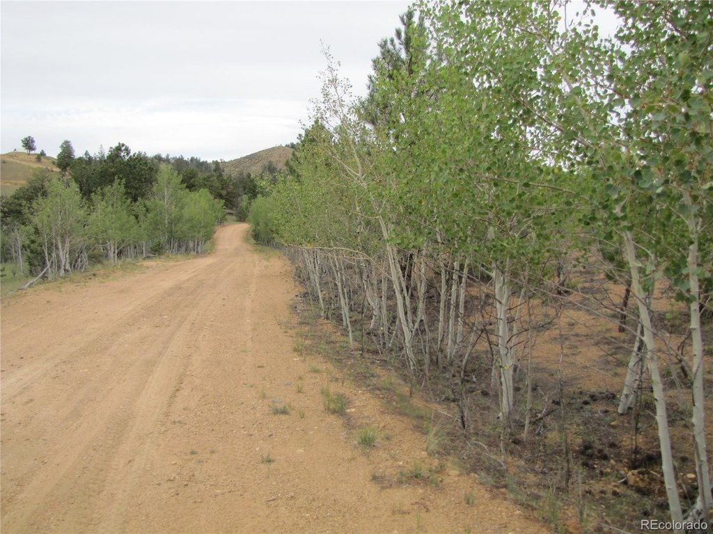 Picture 40
