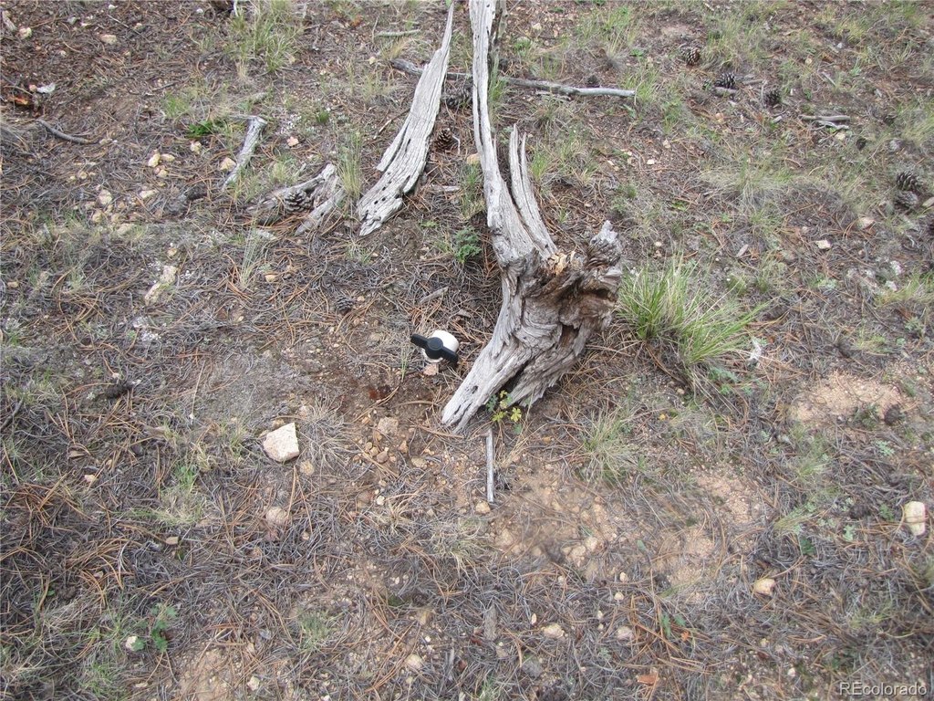 Picture 29