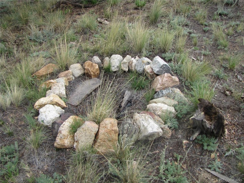 Picture 26