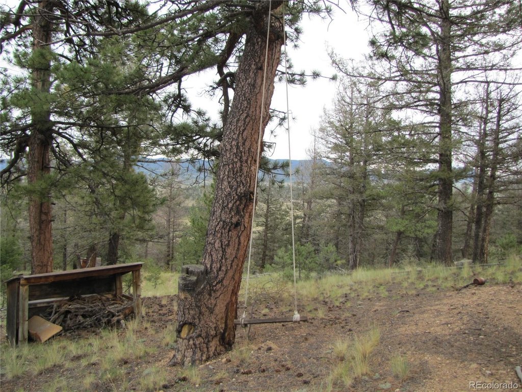 Picture 14