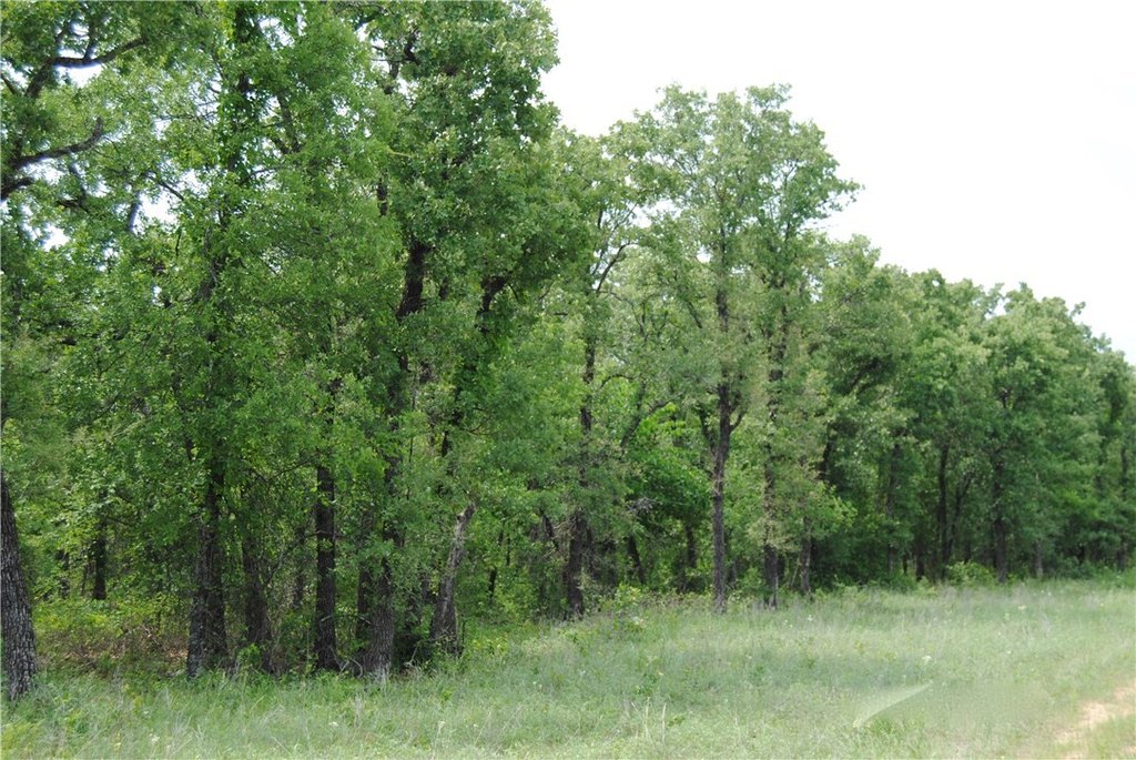 Picture 8