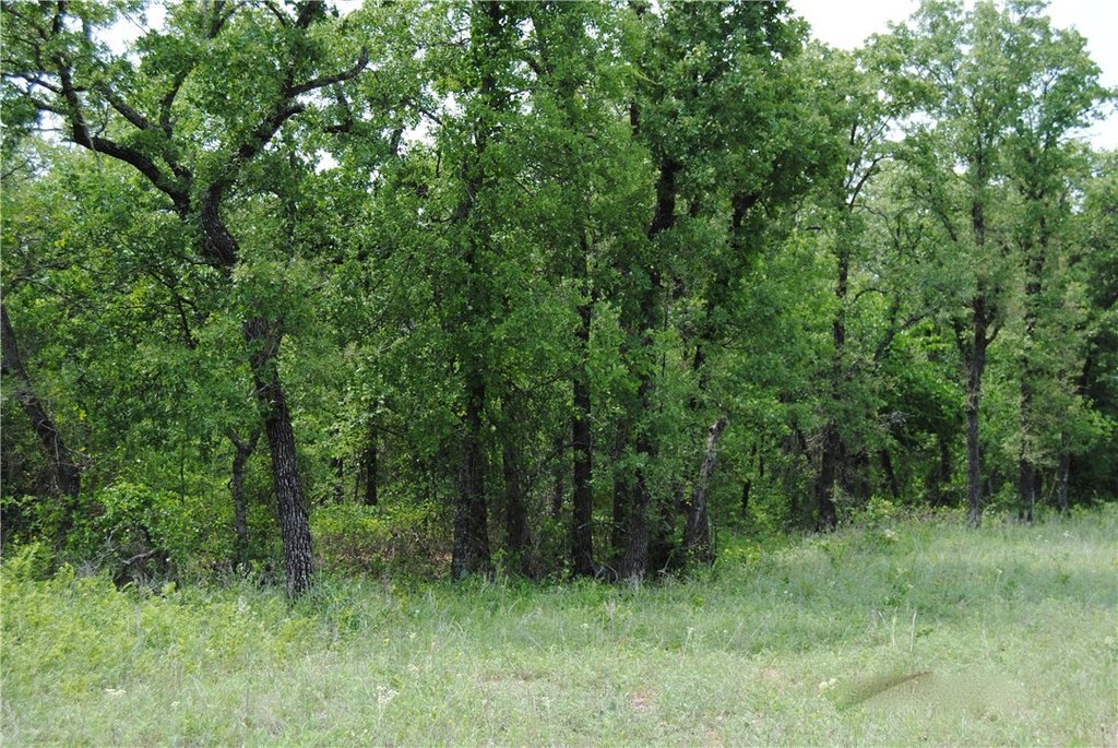 Picture 9