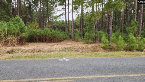 Wooded Residential Homesite