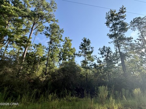 Land, Alford, FL