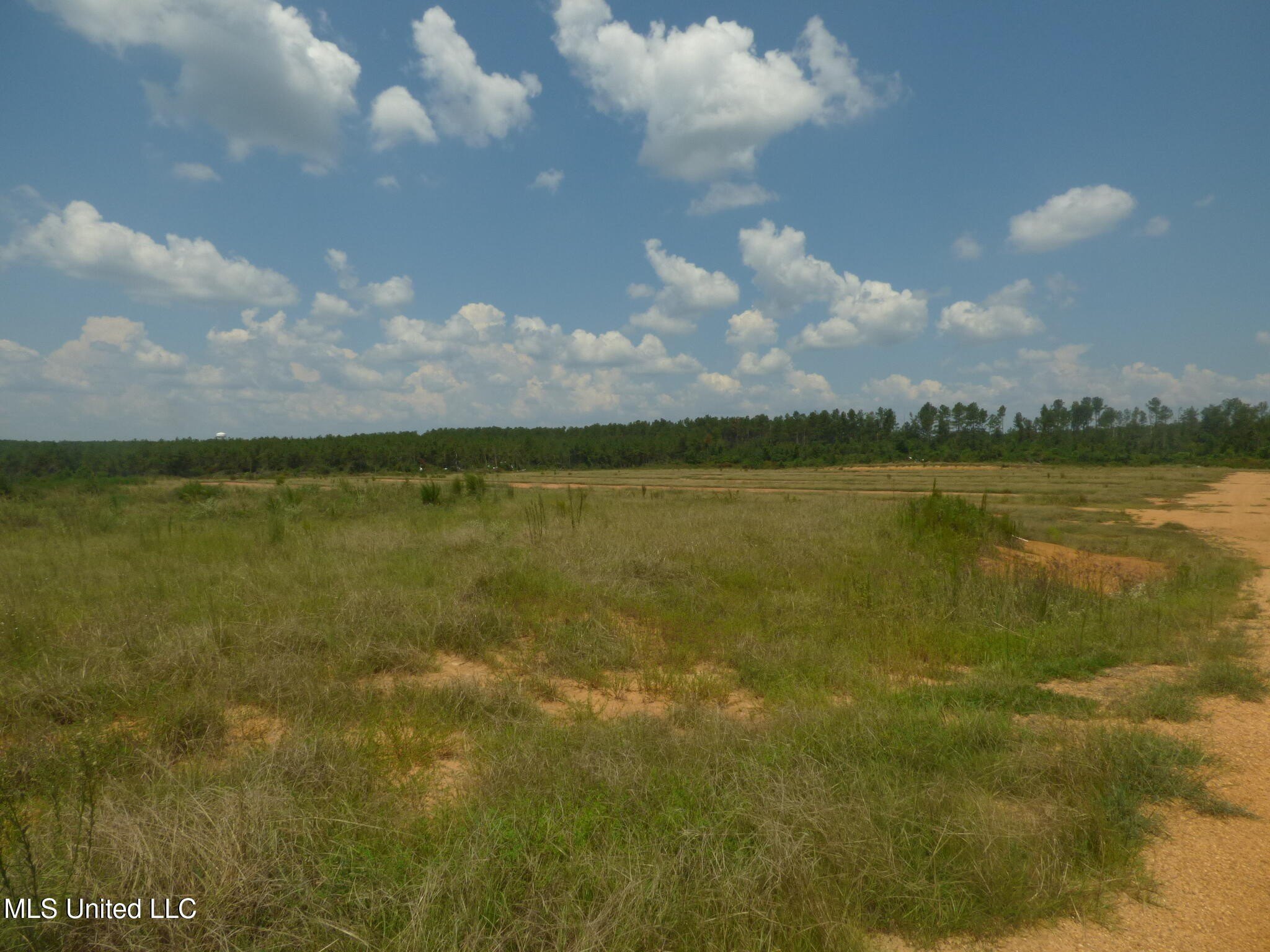 23.5 Acres in Tylertown, MS