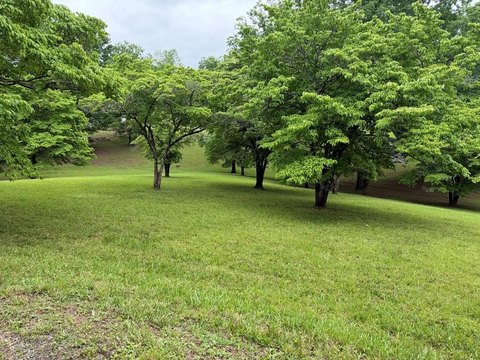 Hayesville Vacant Lot Near Lake