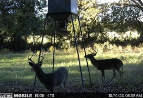 Picture 31
