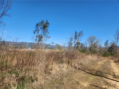 Clarksville Recreational Land with Views