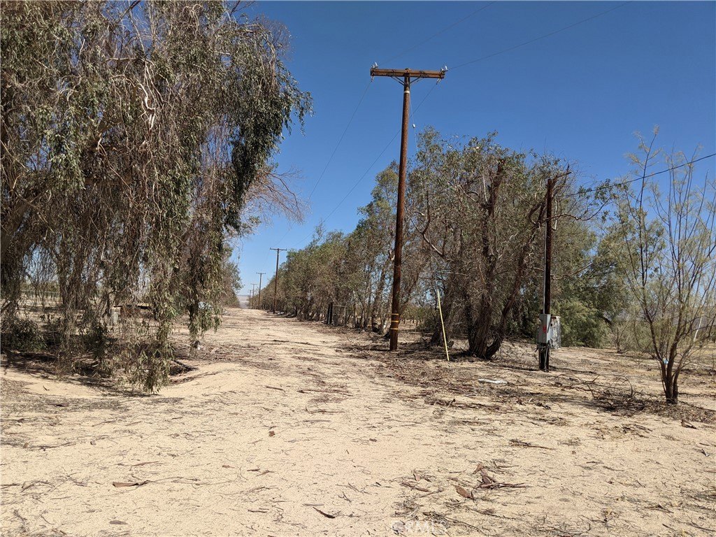 80 Acres with Pistachio Grove