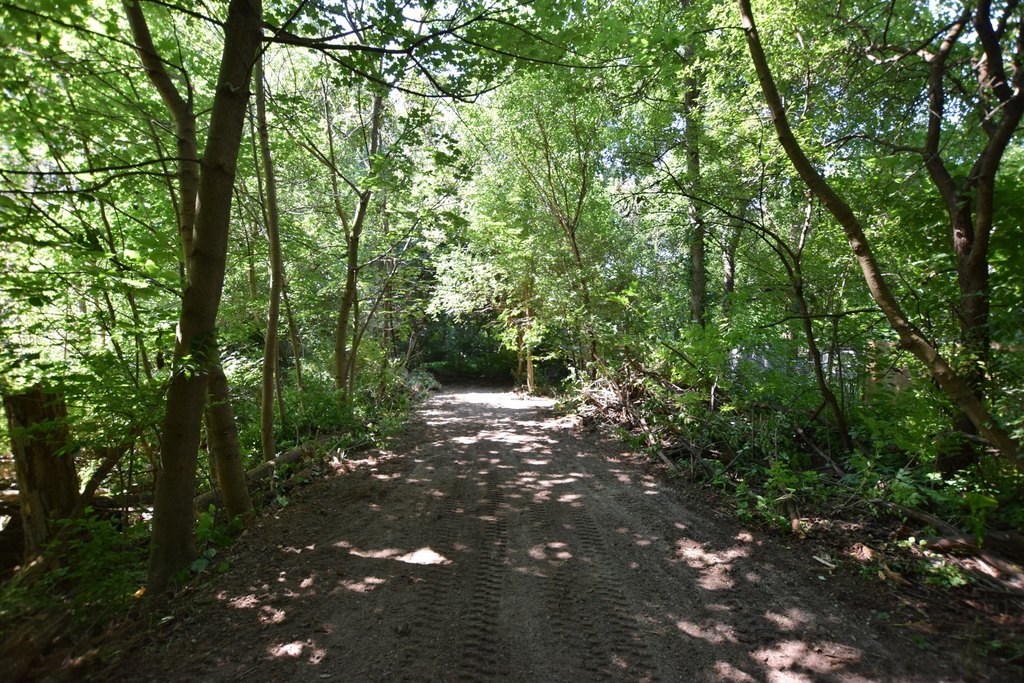Picture 9