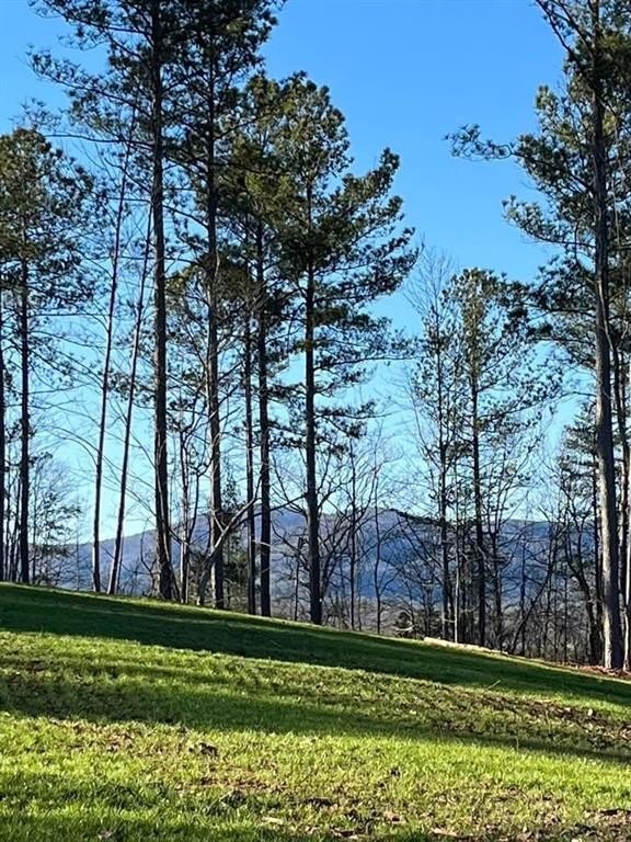 Dahlonega Land with Mountain Views